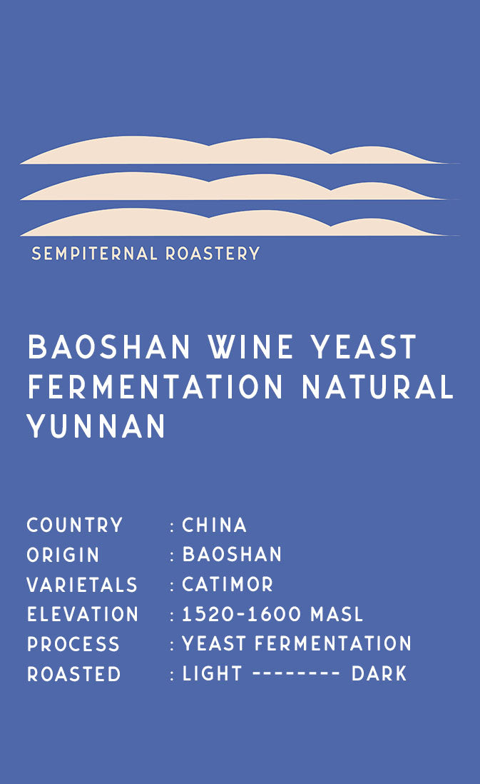 【150g or 250g】雲南 ワインイースト発酵 ナチュラル