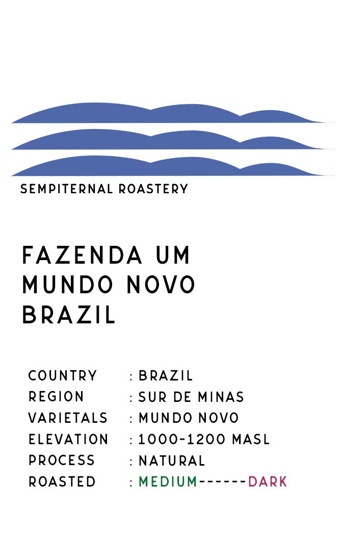 ブラジル 自家焙煎