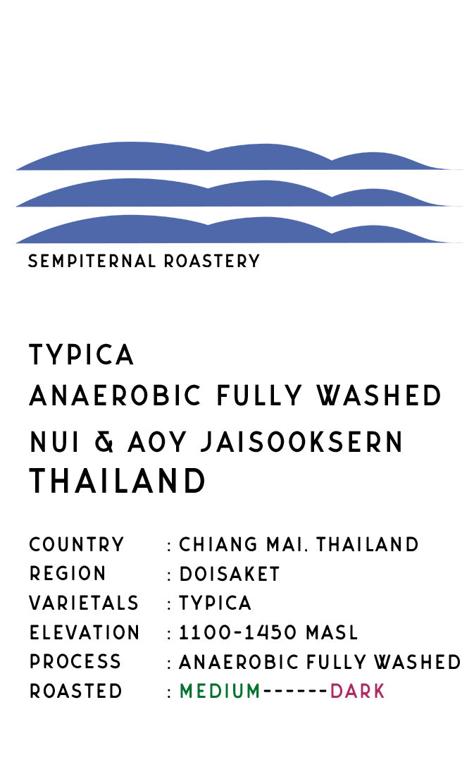 タイ ドイサケット - ティピカ アナエロビック ウォッシュ