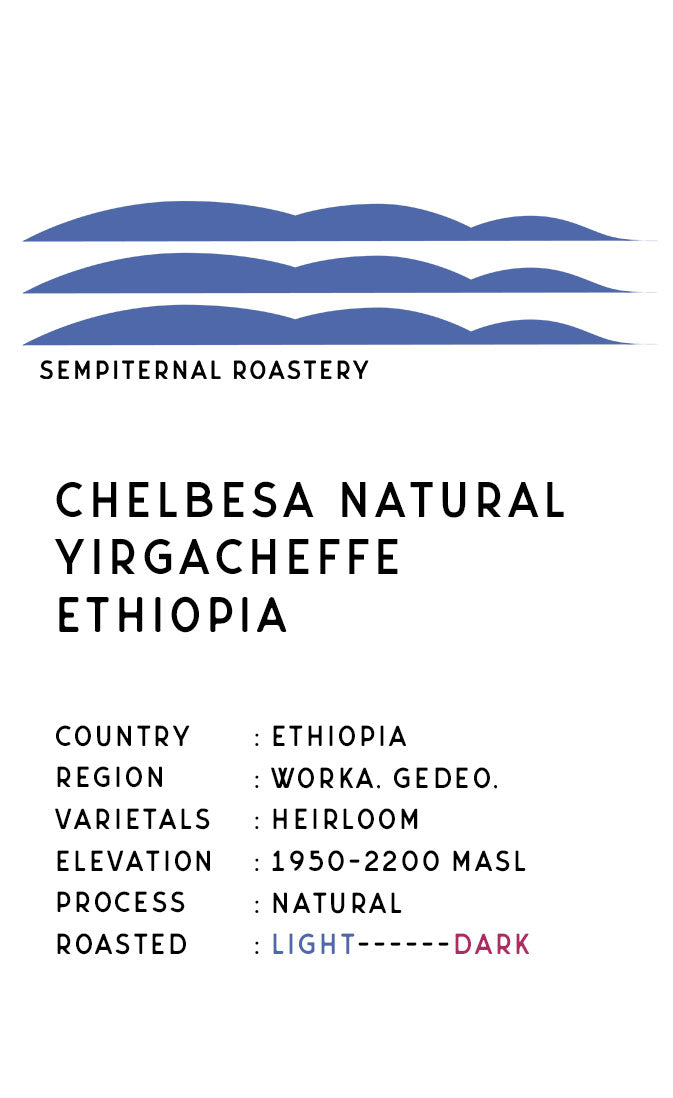 【150g or 250g】エチオピア イルガチェフェ チェルべサ ナチュラル
